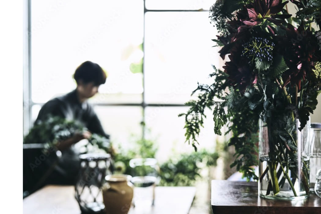 自然光のなか、植物に囲まれた台所で過ごす暮らしの時間